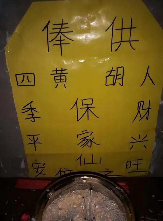 东北的出马仙是什么意思(为什么东北的出马仙特别多)