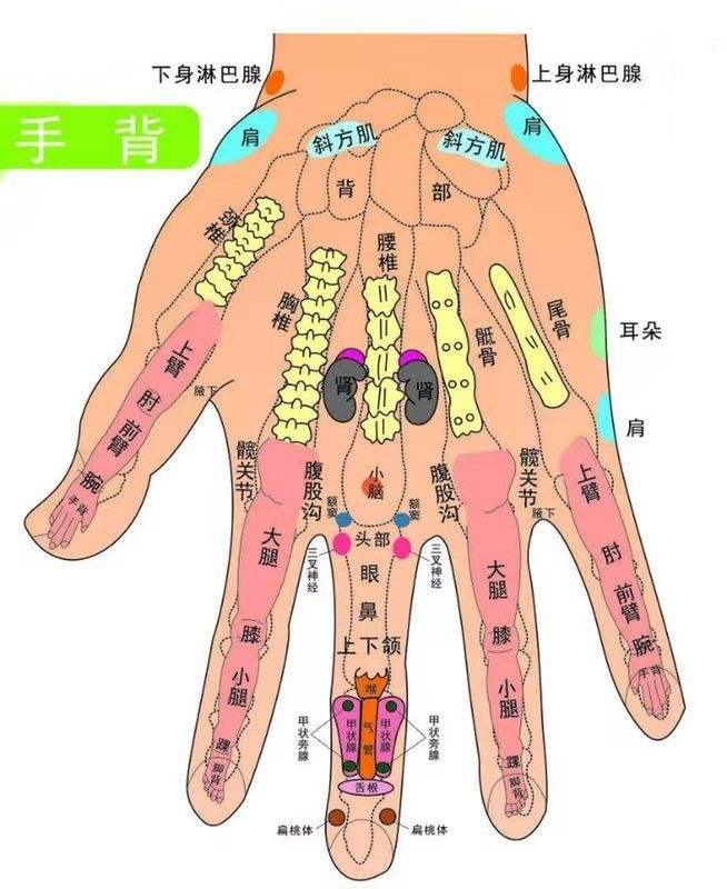 关于仙家打窍最后阶段是什么的信息