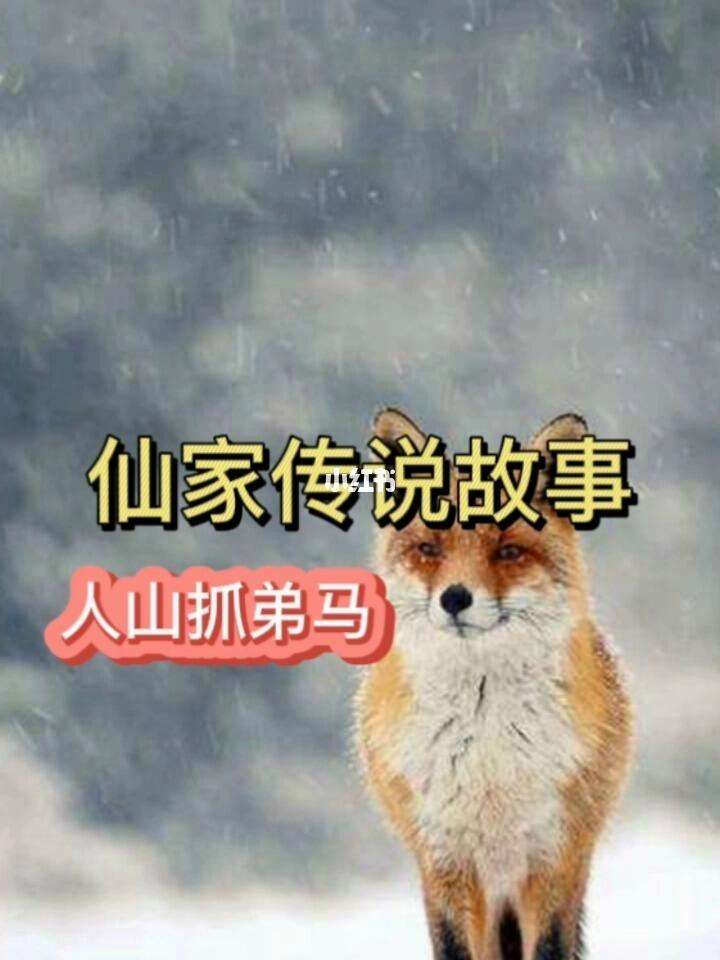 如何和身上的仙家对话聊天的简单介绍