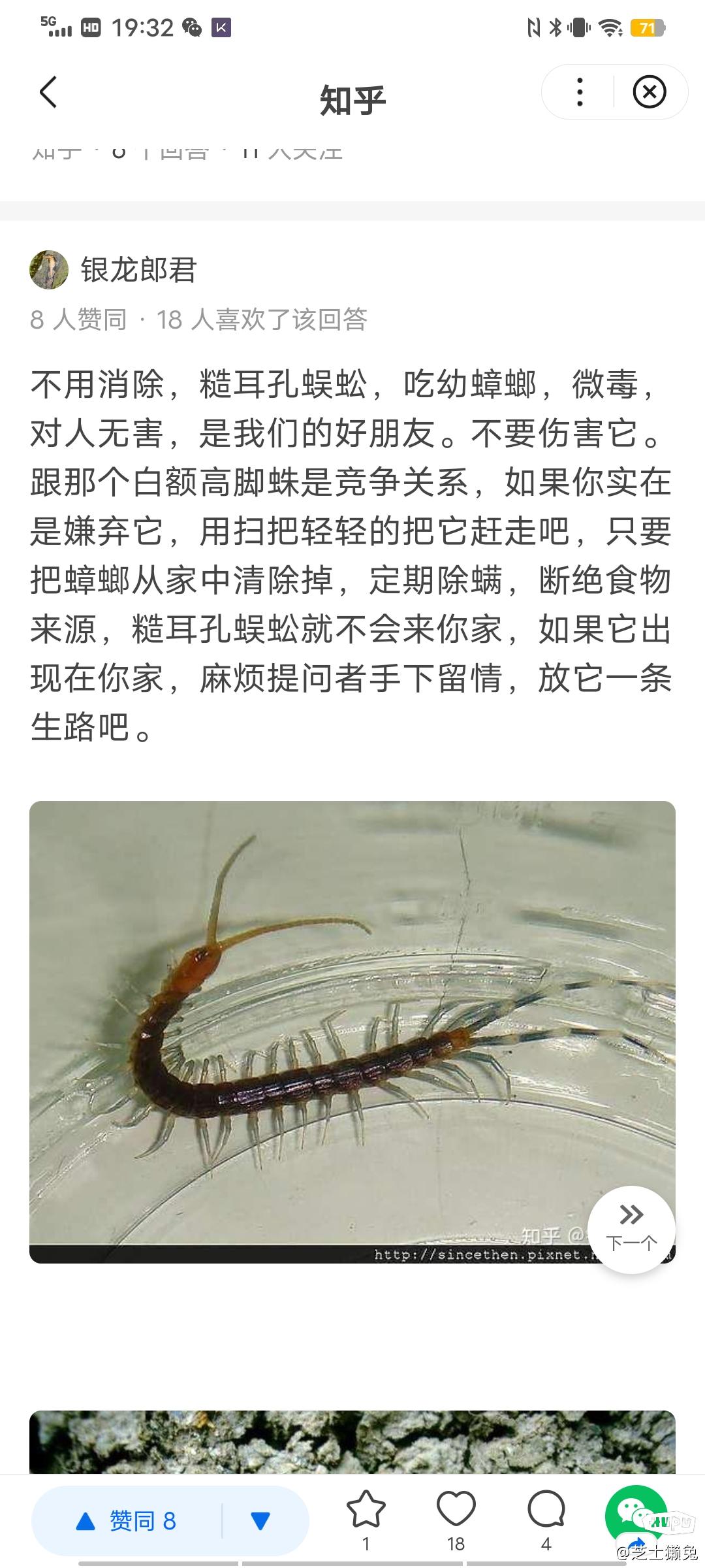 出马仙里的蜈蚣是什么意思(出马仙里的蜈蚣是什么意思呀)