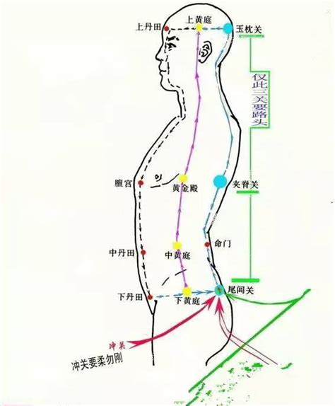 出道仙打窍的顺序(出道仙弟子打窍的感受)