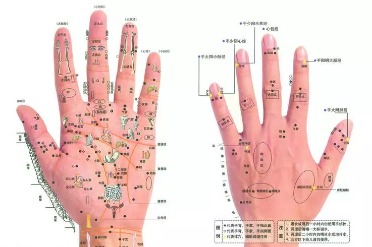 出道仙和出马仙打窍的区别(出道仙和出马仙打窍的区别是什么)