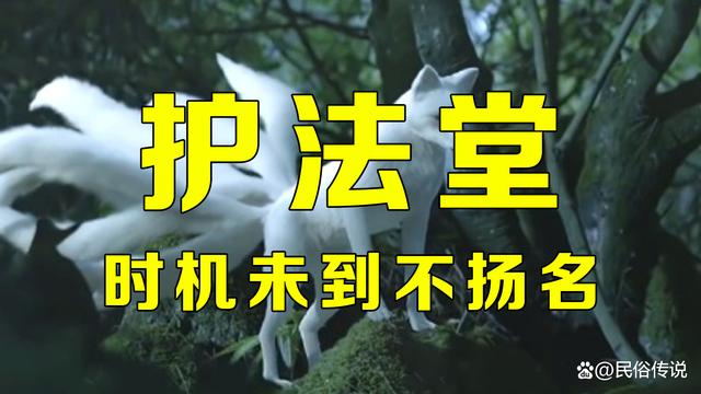 出马仙故事集(出马仙故事在线听)