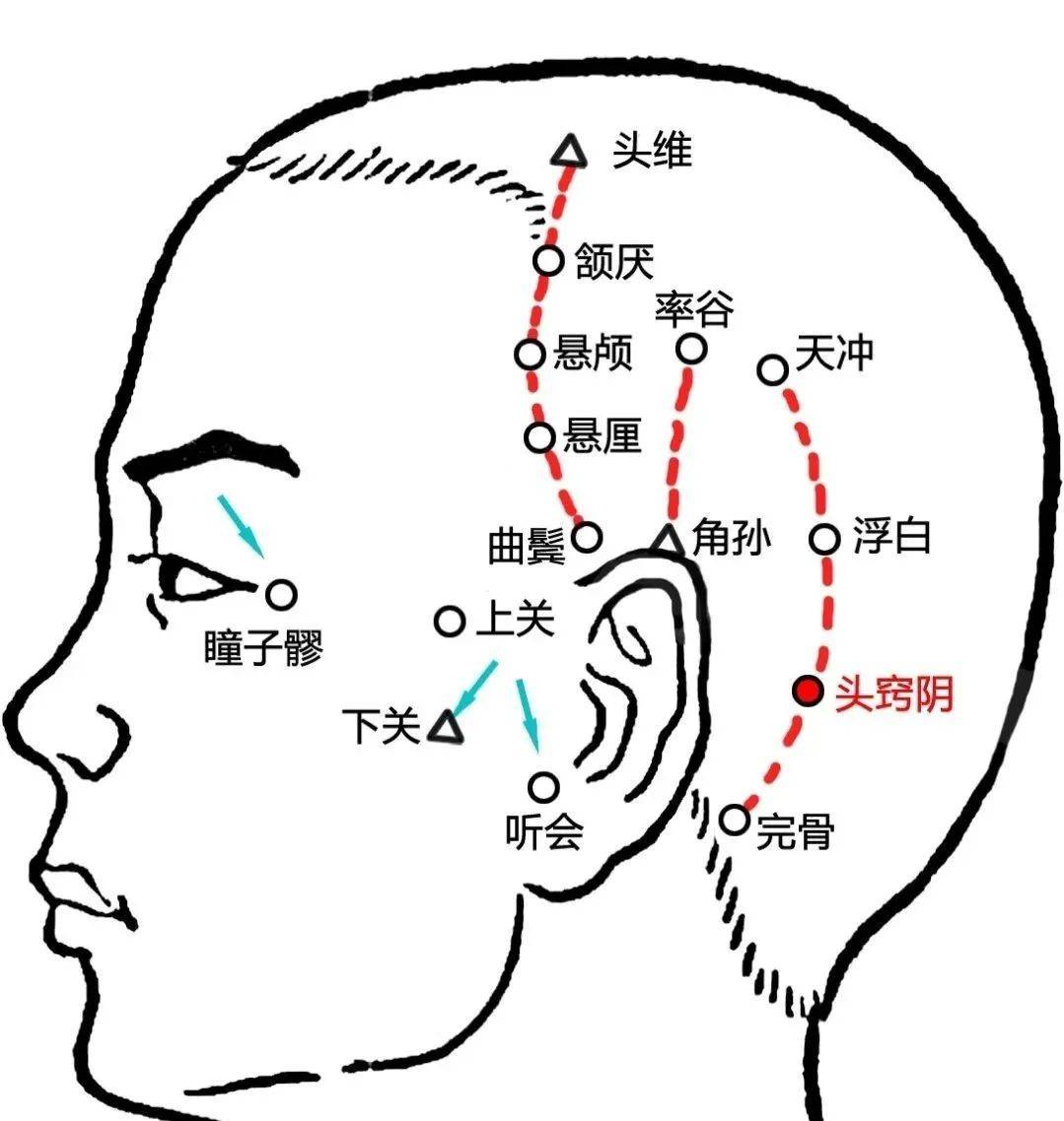 包含出道仙开手窍口窍怎么解释的的词条