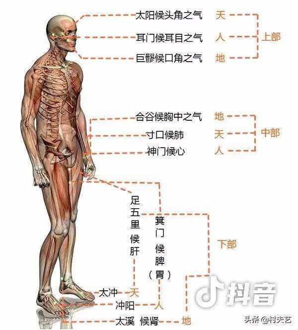 仙家打窍的部位图片(上方仙给人打窍的感觉)