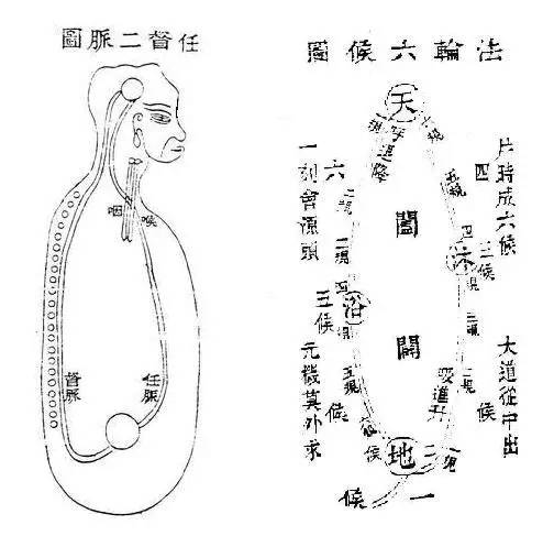 仙家打窍图经脉图(仙家打窍图经脉图片大全)