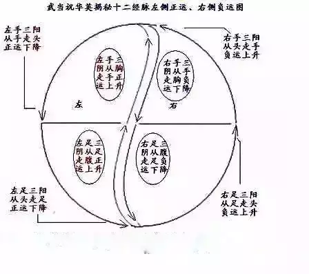 仙家打窍位置图片(仙家打窍是什么意思)