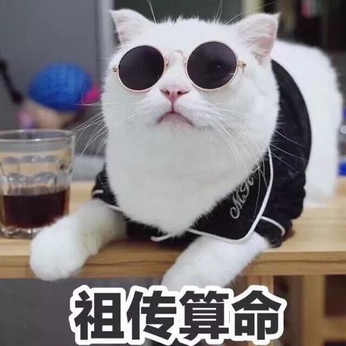 出马仙猫代表什么(正规出马仙堂口名单)