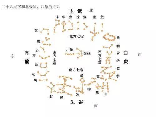 仙家资料(仙家介绍大全)