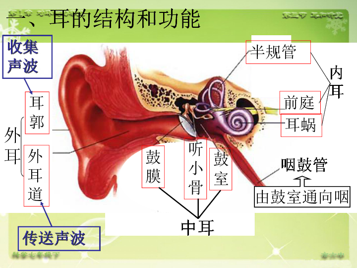 开耳通的征兆(一位天眼通的真实经历)