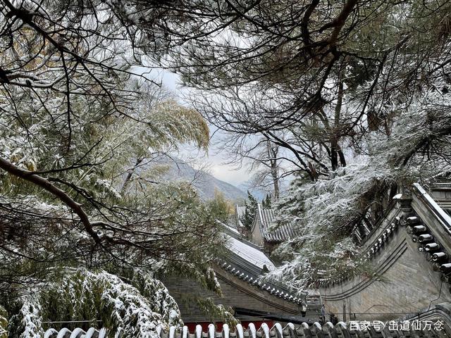 出道仙多久能走出来(出道仙怎样知道自己被淘汰)