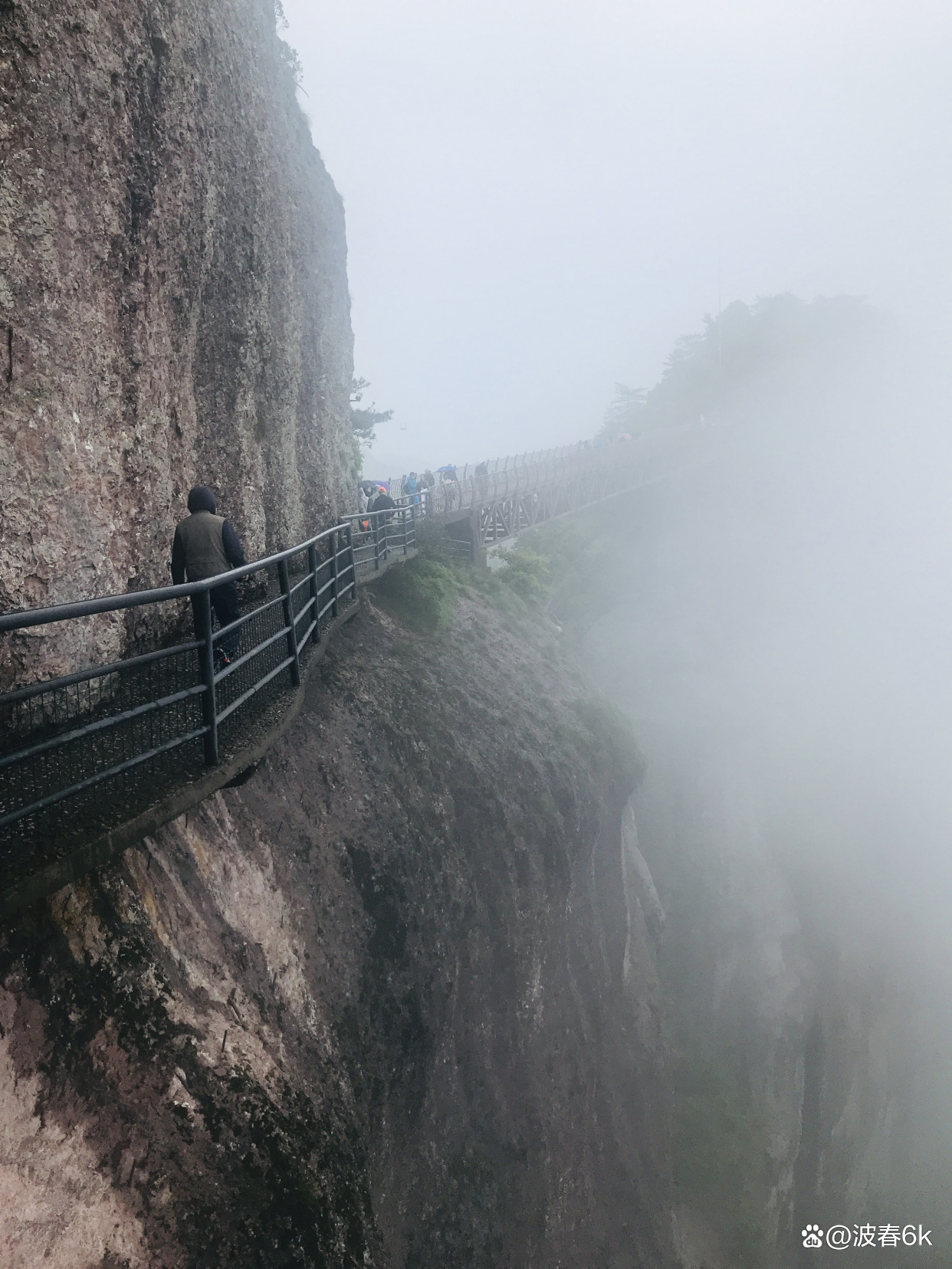 怎么知道自己有仙家跟随(tt语音怎么知道对方关闭跟随了)