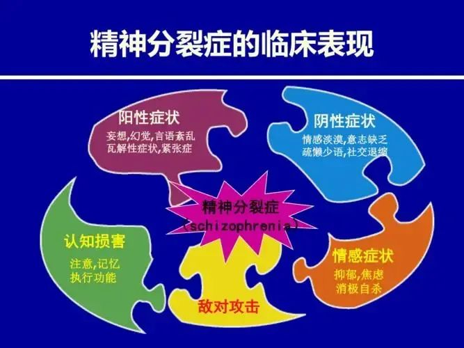 精神病人的症状有哪些视频的简单介绍