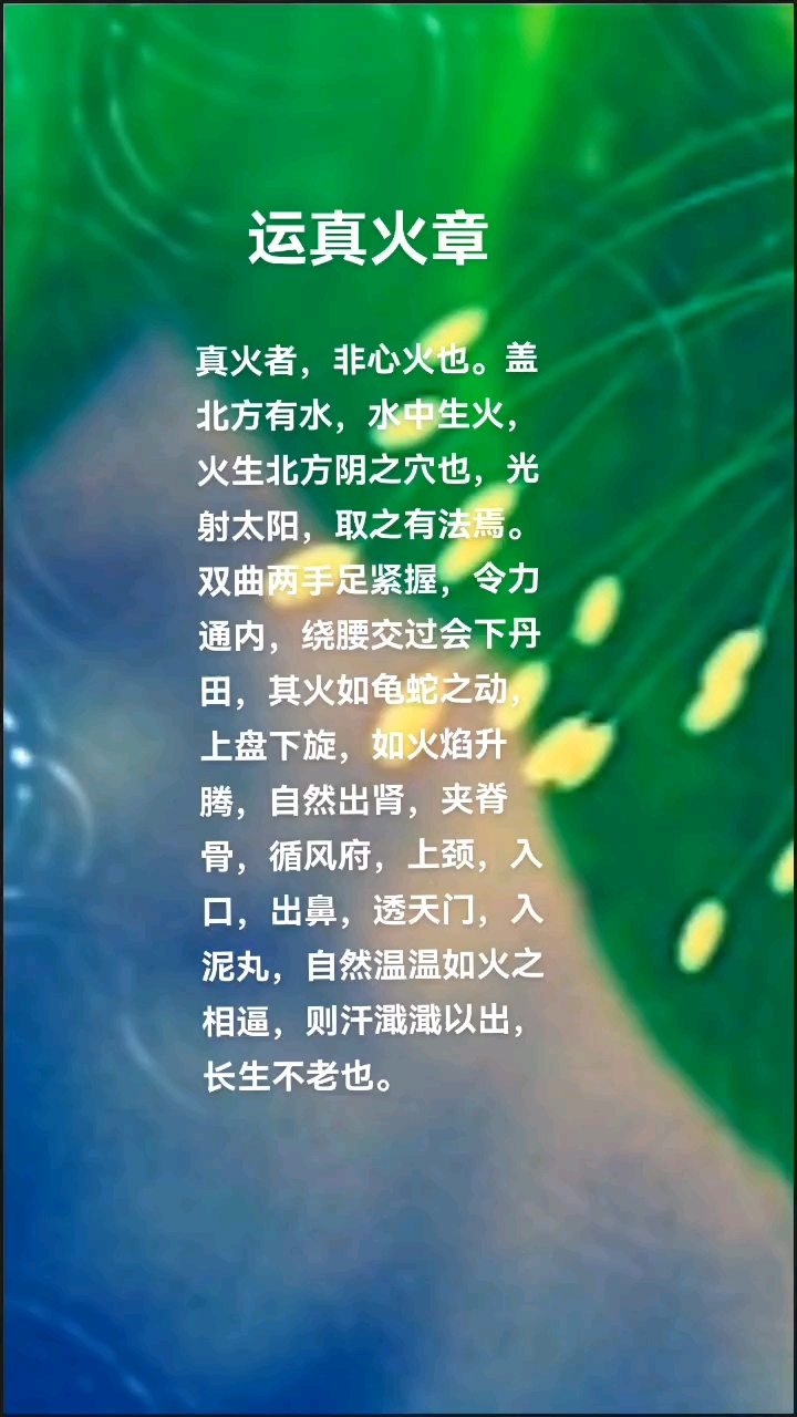 道家修心悟道句子大全(道家修心悟道句子大全图片)