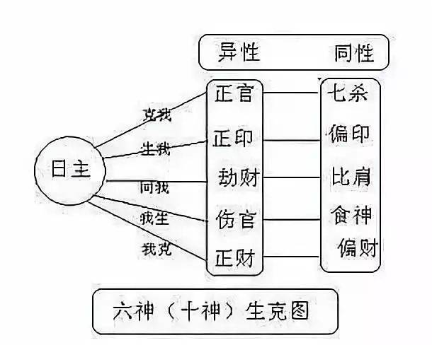 如何查看自己的十神(如何看自己十神属于什么)